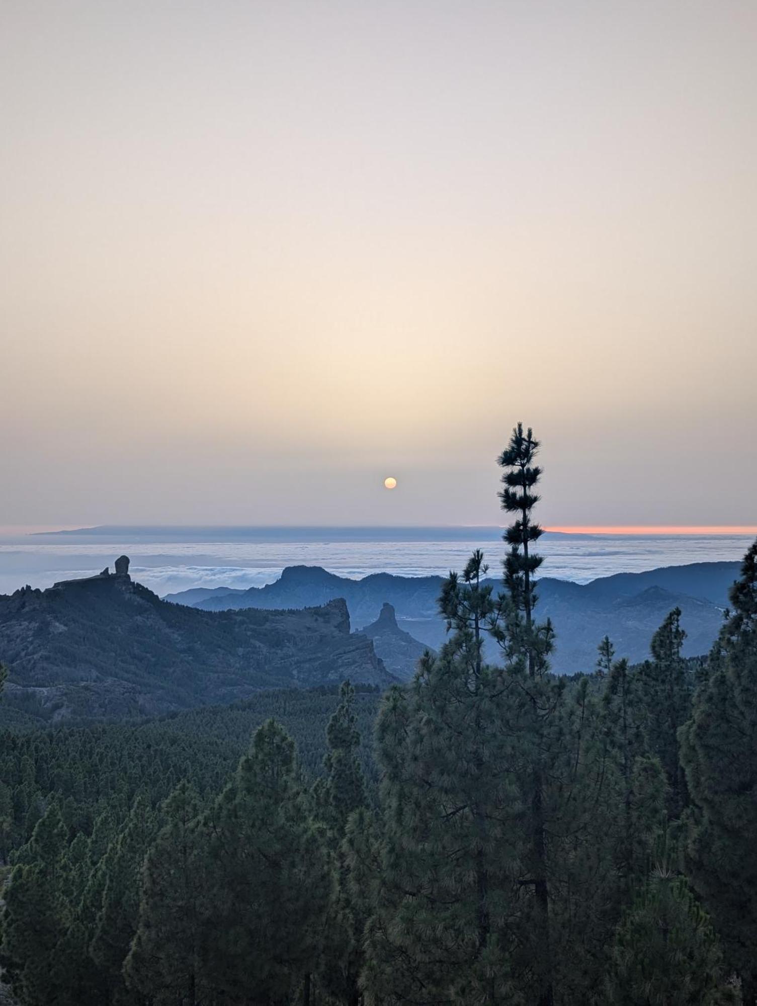Tamaran House Vandrarhem Las Palmas de Gran Canaria Exteriör bild